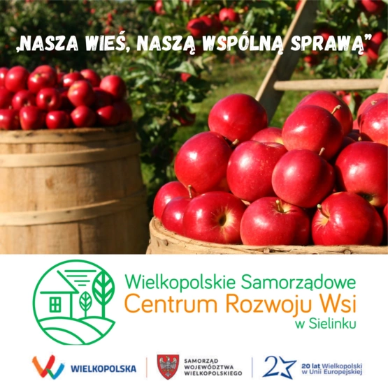 Ogłoszenie otwartego konkursu ofert „Nasza wieś, naszą wspólną sprawą”