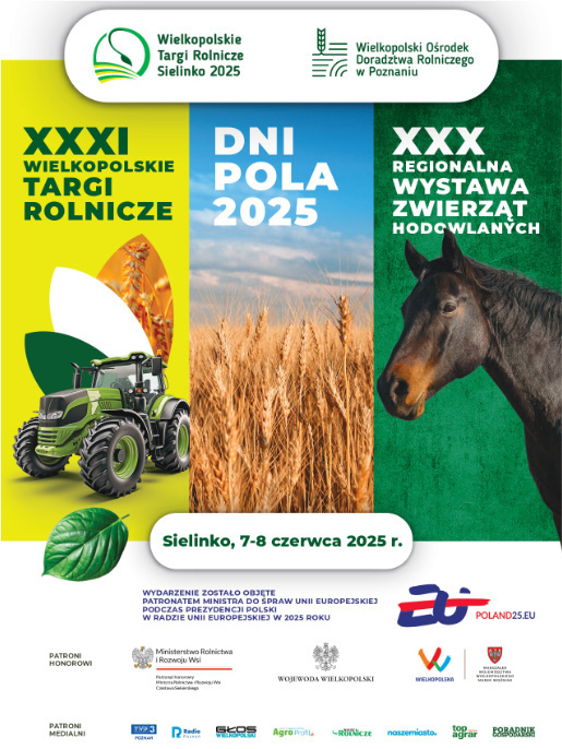 Gdzie spotkamy się podczas weekendu?