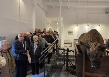 Zwiedzanie Muzeum w Szreniawie przez uczestników „Wielkopolskiego Dnia Seniora”