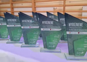 Statuetki dla laureatów i wyróżnionych w Konkursie „Fundusz sołecki- najlepsza inicjatywa