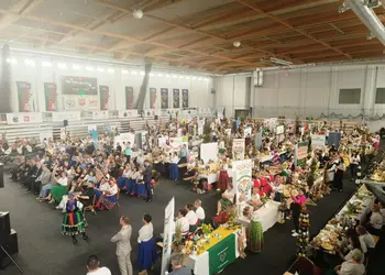 Stoiska uczestników „Konkursu z Jajem na potrawę i palmę wielkanocną