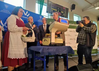Ważenie ziemniaka podczas „Konkursu na największą wielkopolską pyrę i potrawę z pyry