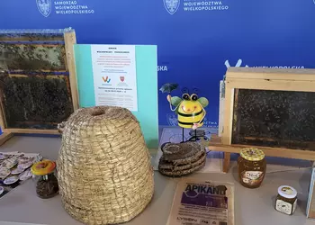 Konferencja prasowa poświęcona znaczeniu pszczół dla środowiska naturalnego.