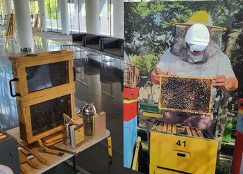 Konferencja prasowa poświęcona znaczeniu pszczół dla środowiska naturalnego.