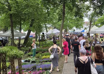27. Targi Wierzby i Wikliny „SALIX” w Wierzbinku
