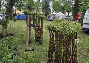 27. Targi Wierzby i Wikliny „SALIX” w Wierzbinku