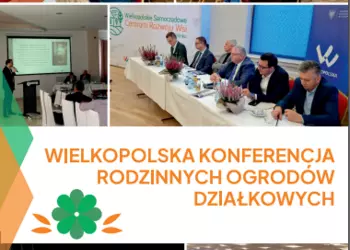 Plakat obrazujący tekst